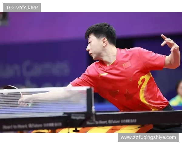 杭州乒乓球队如何实现力量变革引发热议与关注